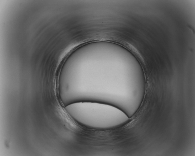 X0000100381035200806060821