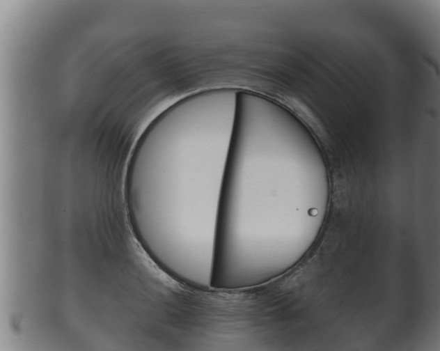 X0000100381036200806060821