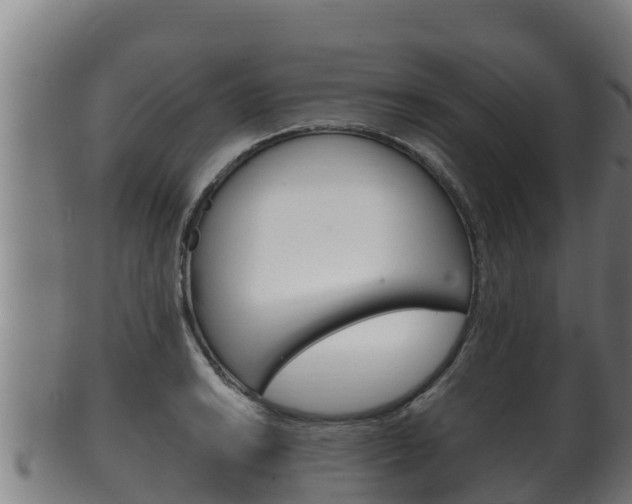 X0000100381038200806060821