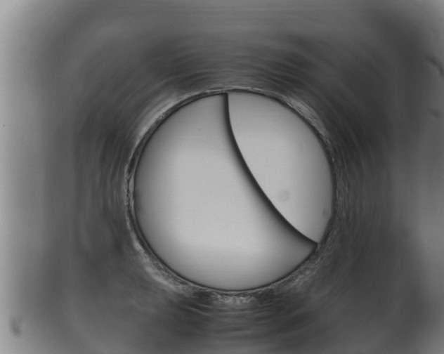 X0000100381039200806060821