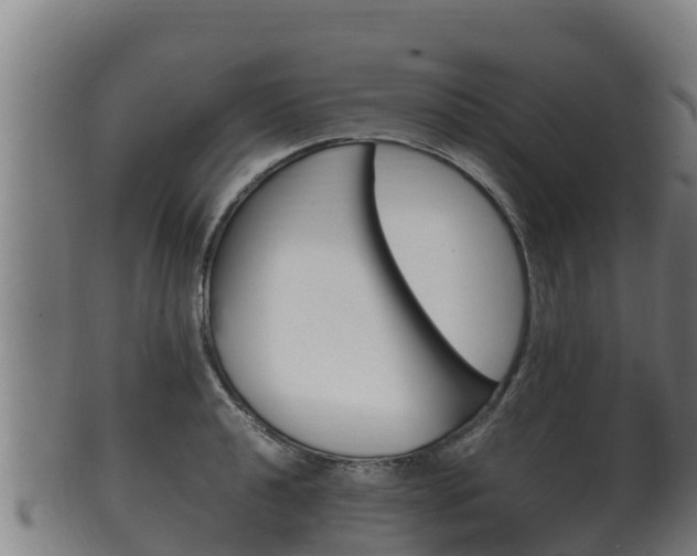 X0000100381040200806060821