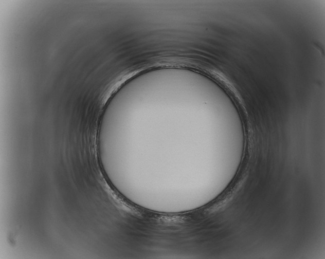 X0000100381041200806060821