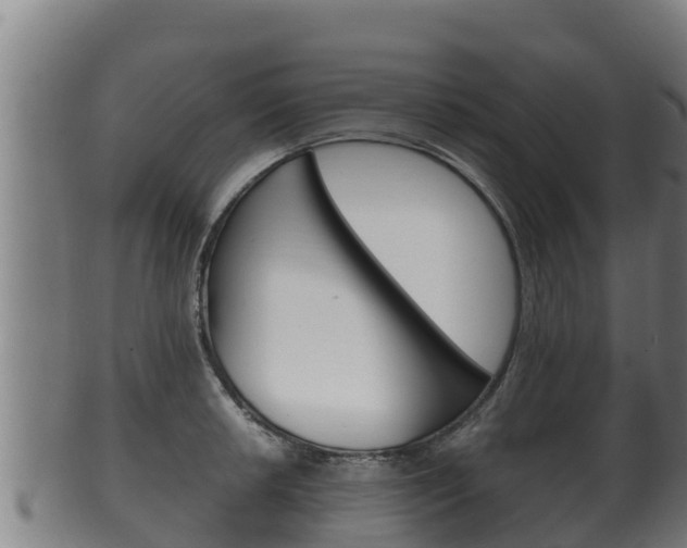 X0000100381042200806060821