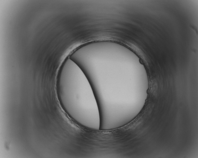 X0000100381043200806060821