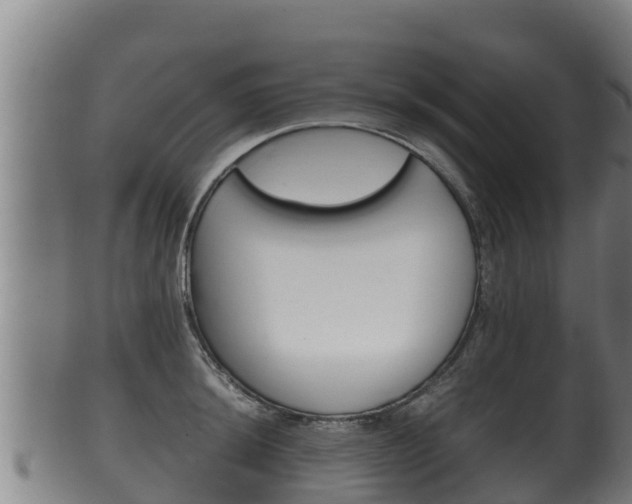 X0000100381044200806060821
