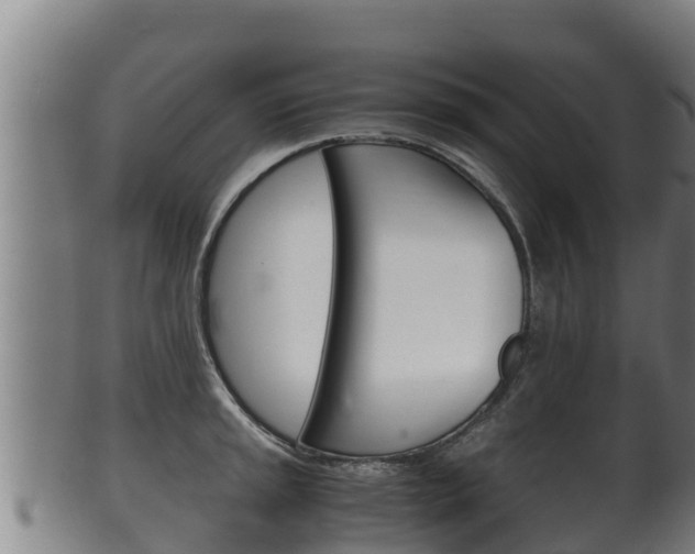 X0000100381045200806060821