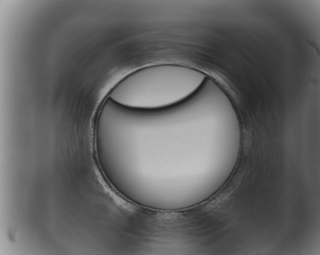 X0000100381046200806060821
