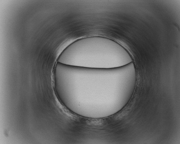X0000100381047200806060821