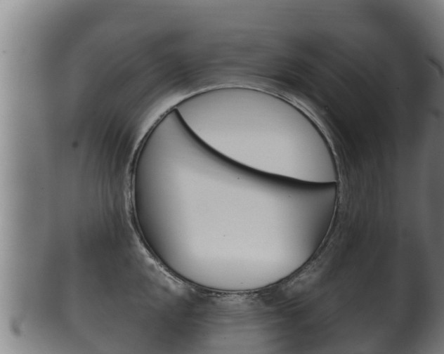 X0000100381048200806060821