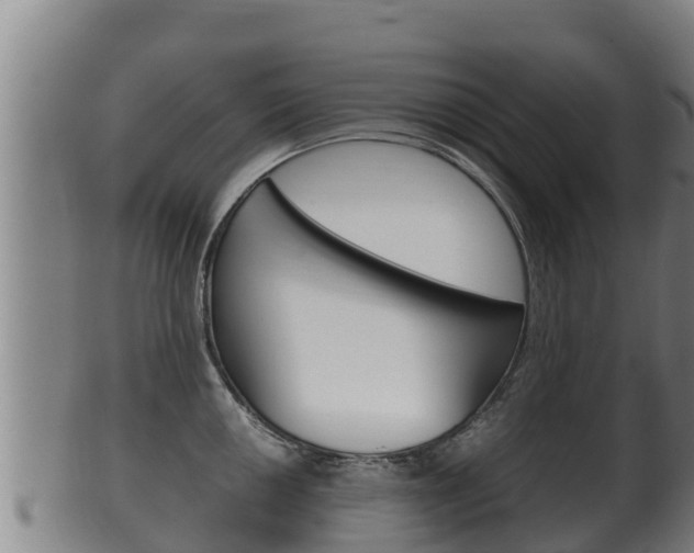 X0000100381050200806060821