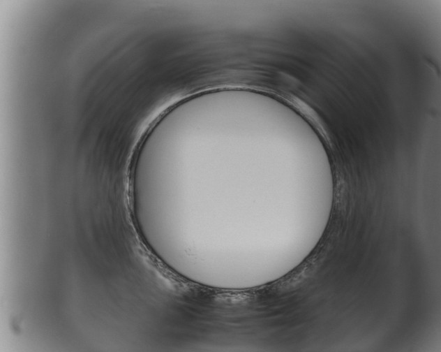 X0000100381051200806060821