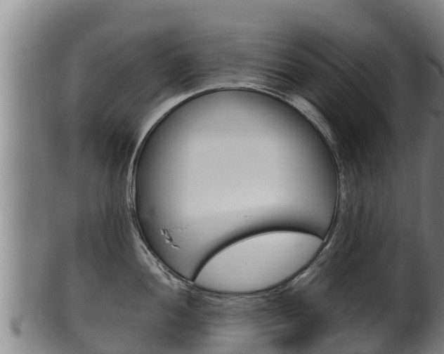 X0000100381052200806060821
