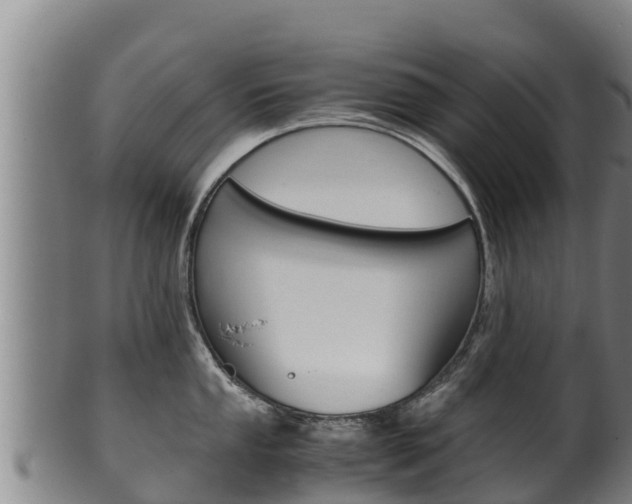 X0000100381053200806060821