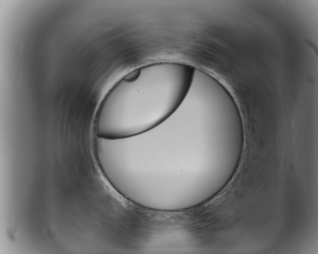 X0000100381056200806060822