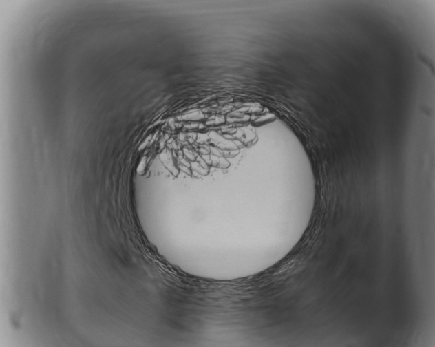 X0000100381057200806060821