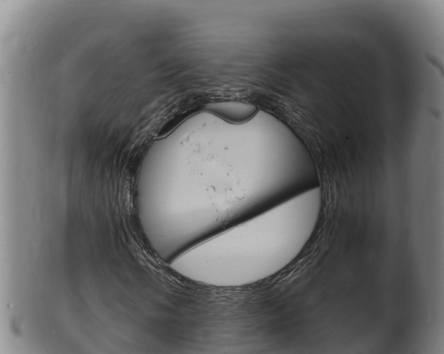 X0000100381058200806060821