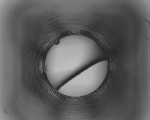 X0000100381060200806060821