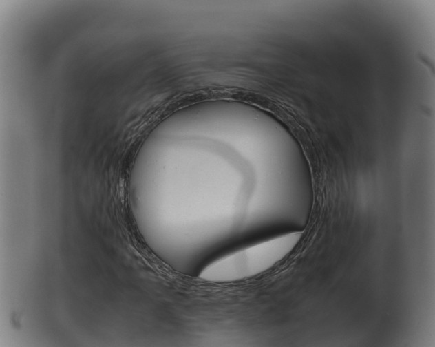 X0000100381061200806060821