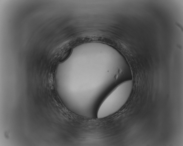 X0000100381062200806060821