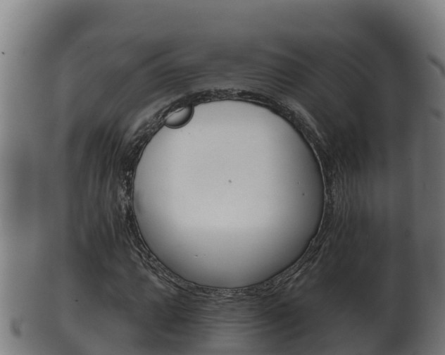 X0000100381064200806060821