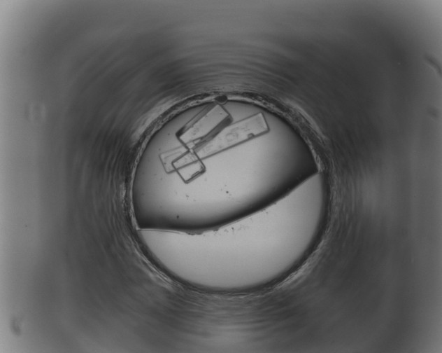 X0000100381065200806060821