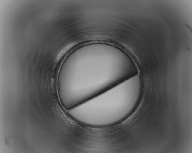 X0000100381066200806060821