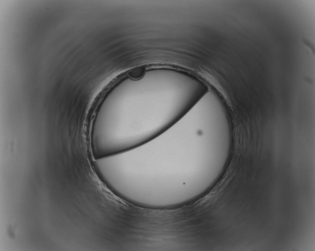 X0000100381068200806060821