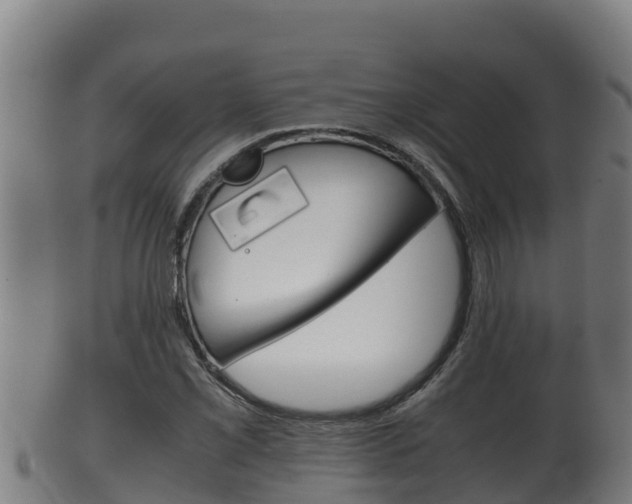 X0000100381069200806060821