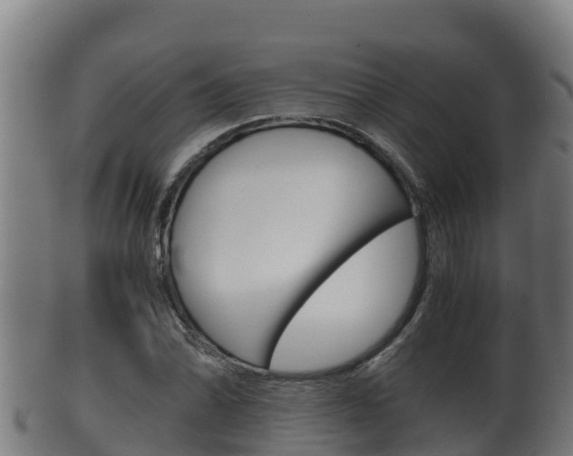 X0000100381070200806060821
