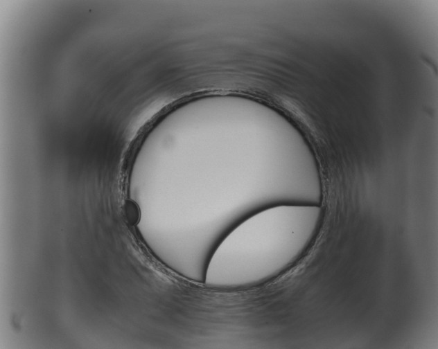 X0000100381071200806060821