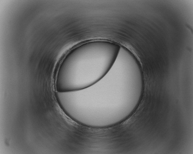X0000100381072200806060821