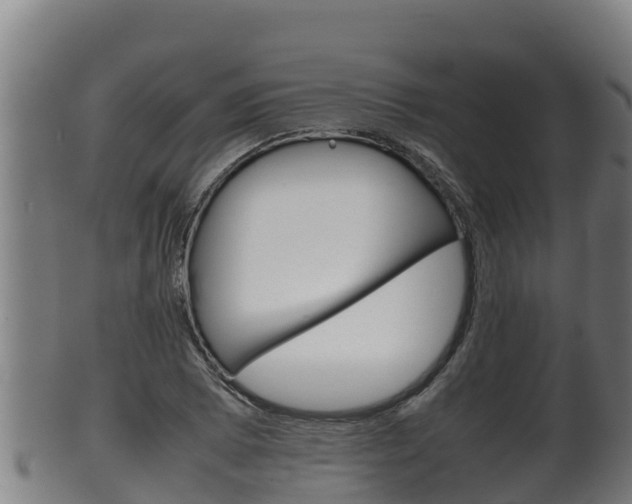 X0000100381073200806060821