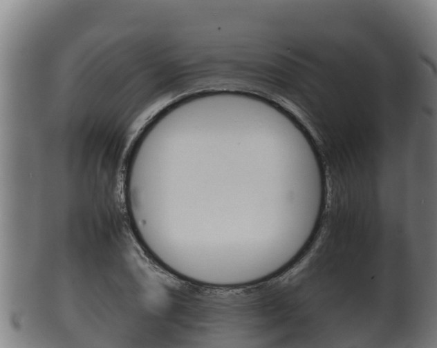 X0000100381074200806060821