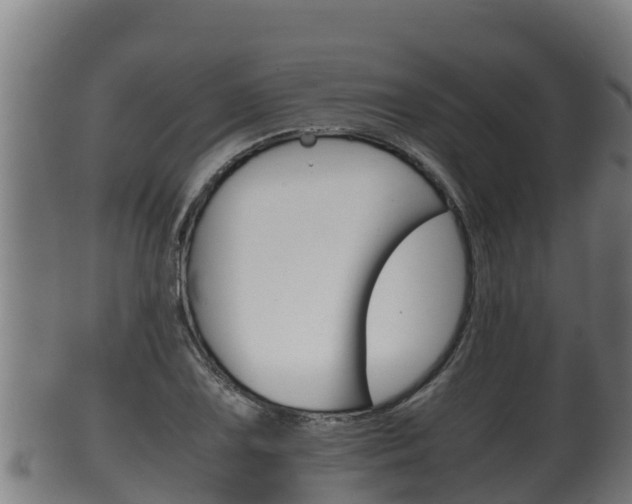 X0000100381075200806060821