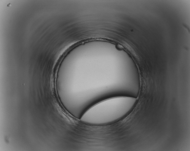 X0000100381076200806060821