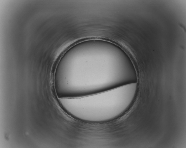 X0000100381077200806060821