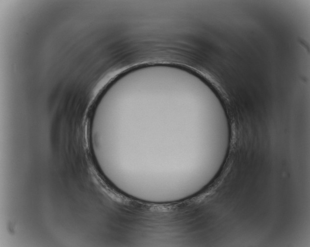 X0000100381078200806060821