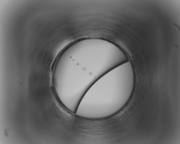 X0000100381079200806060821