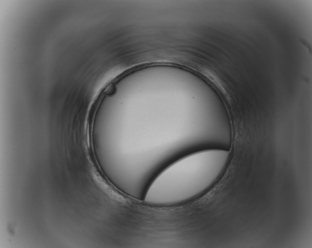 X0000100381080200806060821