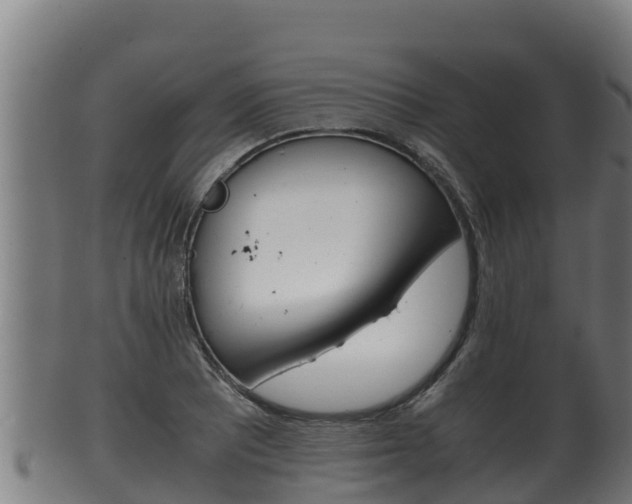 X0000100381081200806060821