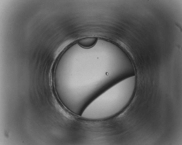 X0000100381082200806060821