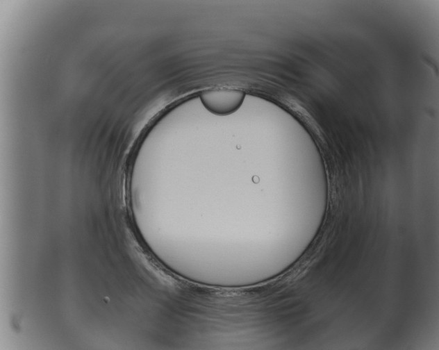 X0000100381083200806060820
