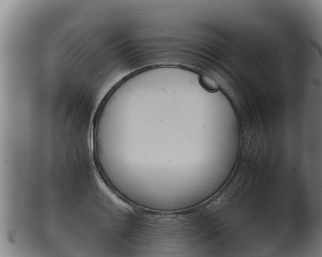 X0000100381084200806060820