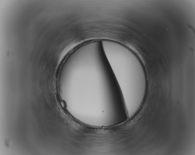 X0000100381085200806060820