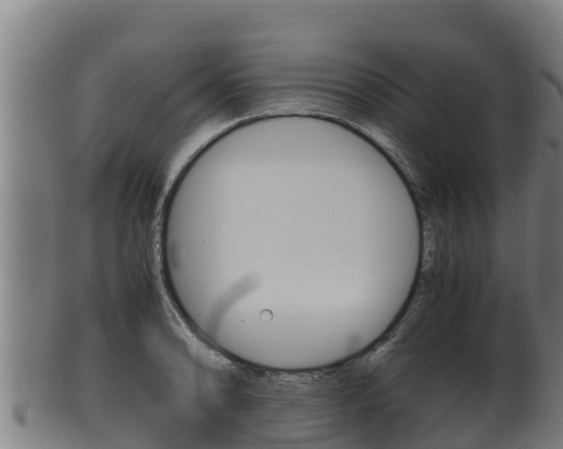 X0000100381086200806060820