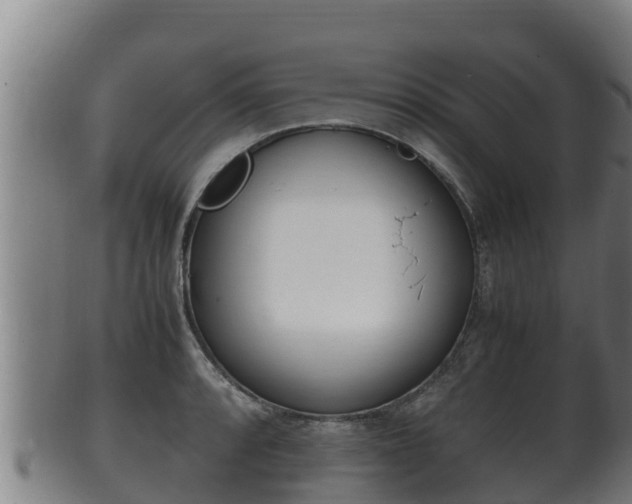 X0000100381088200806060820
