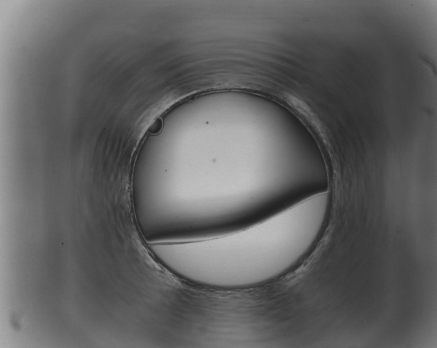 X0000100381089200806060820