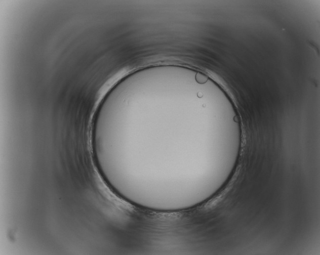 X0000100381090200806060820