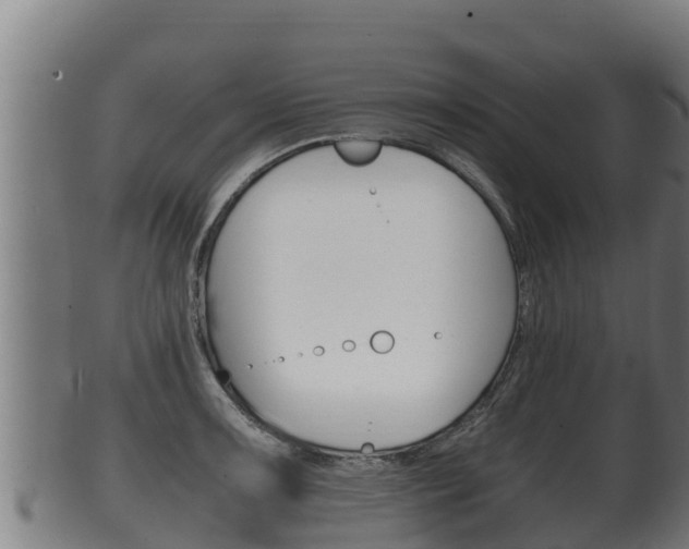X0000100381091200806060820