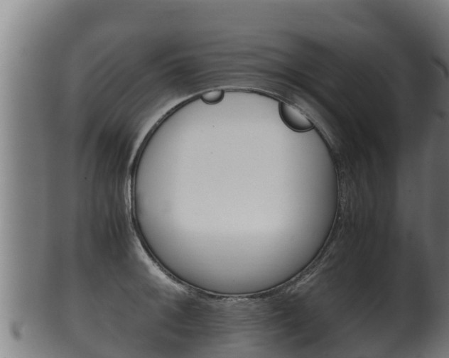 X0000100381092200806060820
